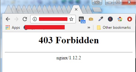 nginx 403 forbidden