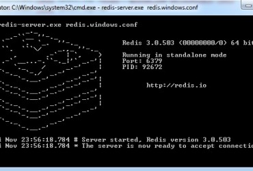 redis windows 64bits - start server