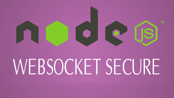 node-websocket-secure