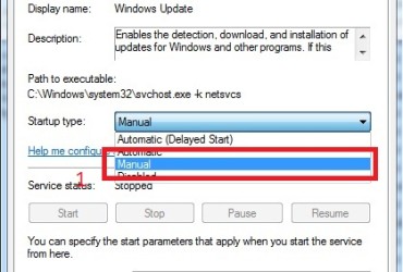 windows update startup type manual